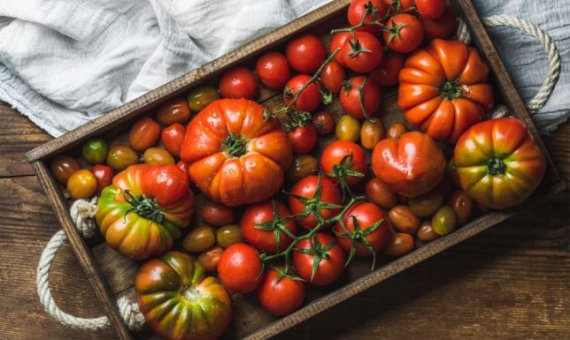 Jak wybrać najlepszą sadzonkę pomidora malinowego dla Twojej szklarni czy balkonu? tomatenpflanzen