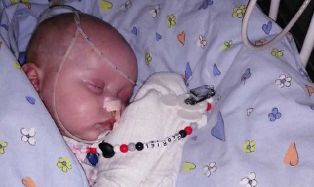 w Parku Konstytucji 3 maja odbędzie się kiermasz charytatywny