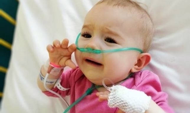 Kiermasz dla Hani nad Zalewem Arkadia