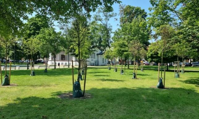 W Parku Konstytucji 3 Maja zostały zainstalowane hydrobufory