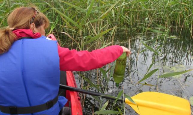 Posprzątają rzekę w kajakach