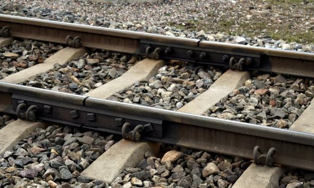 Maszynista zatrzymał lokomotywę i sprzątnął gałęzie