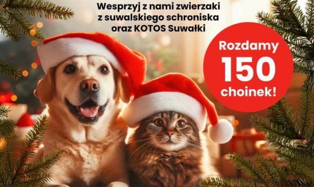 Akcja „Karma wraca na Święta” w Centrum Handlowym w Suwałkach