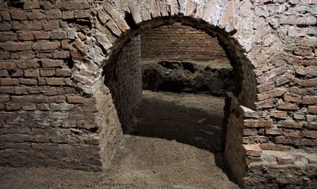 Badania archeologiczne w Wigrach będą kontynuowane badania archeologiczne prowadzonych w piwnicach pod eremami w Wigrach