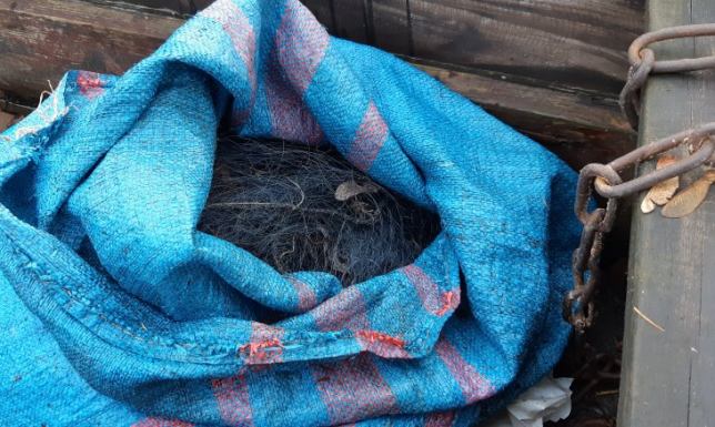 83-latek kłusował z wnuczkiem Kłusownicy złapani Sejny