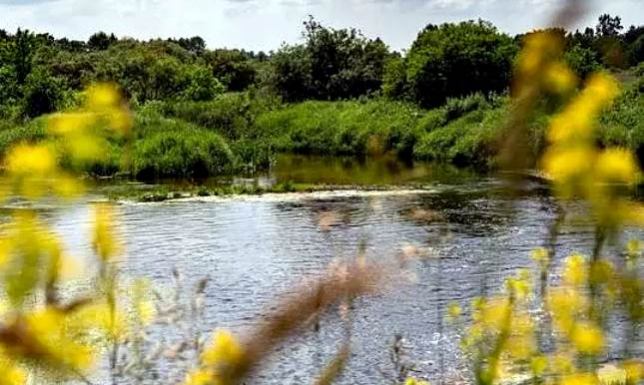 Konkurs plastyczny „Kraina jezior i ryb – miejsce jak z bajki”