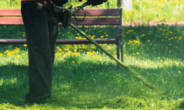 Zarząd Dróg i Zieleni w Suwałkach postanowił zaprzestać koszenia trawników