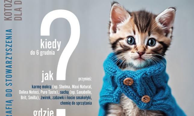 Pomóż kotom przetrwać zimę Zbiórka dla kotów studentów Państwowej Uczelni Zawodowej w Suwałkach