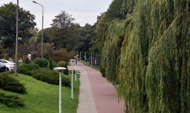 przetarg na budowę boiska do koszykówki ulicznej nad Zalewem Arkadia