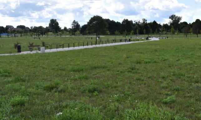 Zarząd Dróg i Zieleni w Suwałkach planuje zakupić 30 ławek