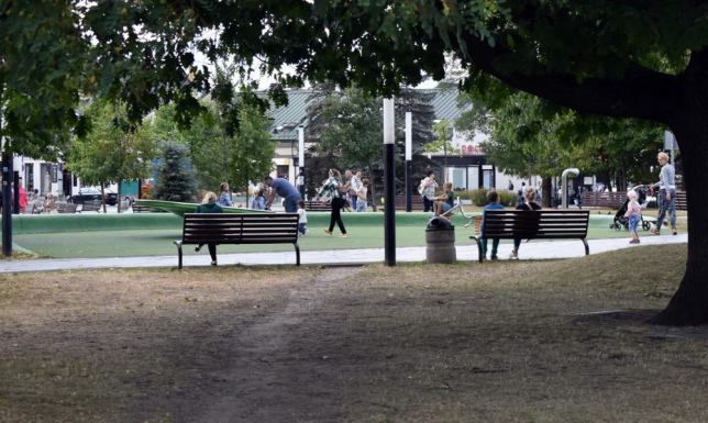 Konsultacje społeczne w sprawie rozmieszczenia w mieście nowych ławek