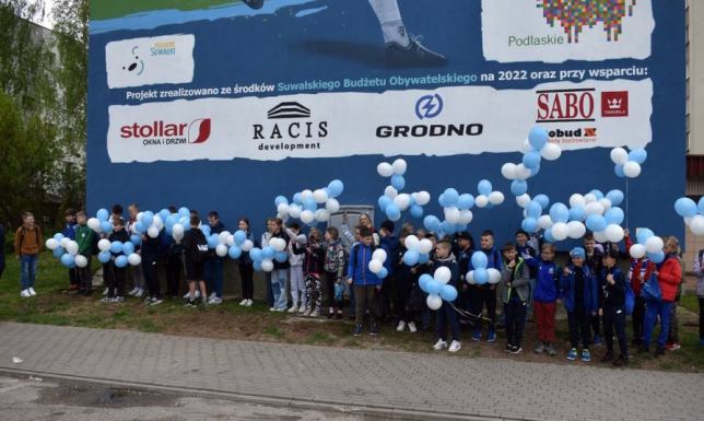oznakowanie inwestycji wykonanych w ramach Suwalskiego Budżetu Obywatelskiego