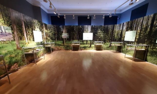 Muzeum Okręgowe w Suwałkach, wystawa Jaćwieskie eldorado