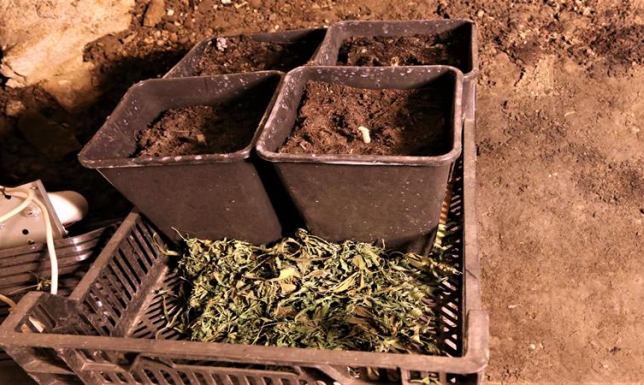 Miał w domu narkotyki. Został zatrzymany