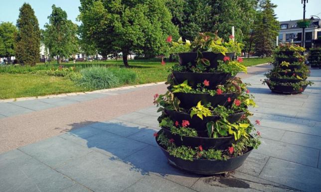 Kilkadziesiąt tysięcy kwiatów przyozdobi Suwałki latem