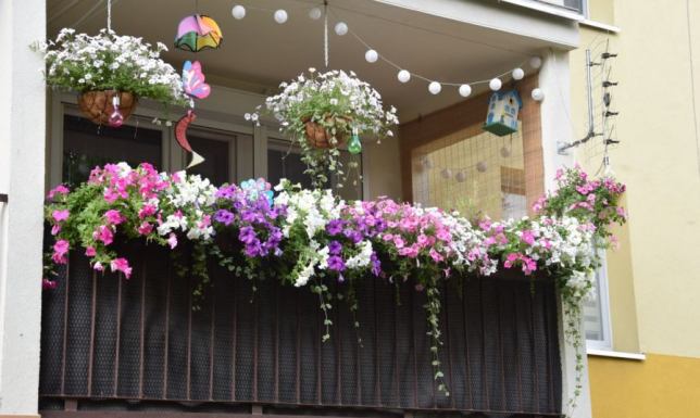 XXIX Edycja Konkursu „Gdzie te piękne ogrody i kwieciste balkony…”