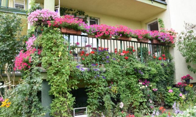 XXVIII edycji konkursu „Gdzie te piękne ogrody i kwieciste balkony”