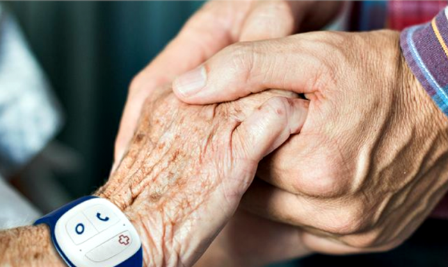 program osłonowy „Korpus Wsparcia Seniorów” na rok 2022