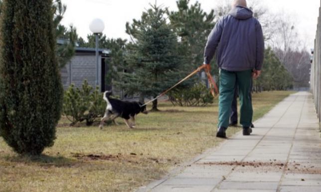 osadzeni z Aresztu Śledczego w Suwałkach rozpoczęli pomoc w Schronisku dla Zwierząt