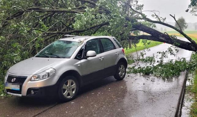 Drzewo spadło na jadący samochód Silny wiatr wiał we (12.07) wtorek w cały regionie