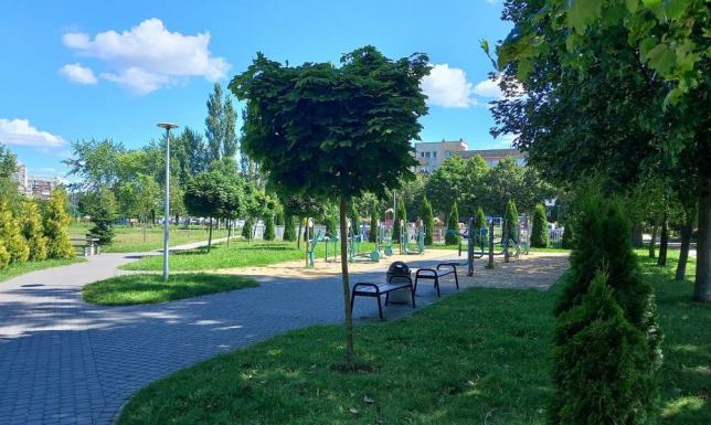 Monitoring w Parku Północnym w Suwałkach w okolicy hamaków
