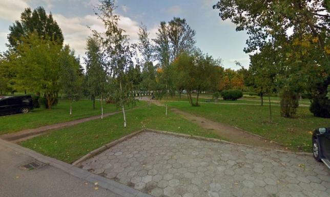 Wybierz nazwę dla parku położonego przy ulicy Putry w Suwałkach