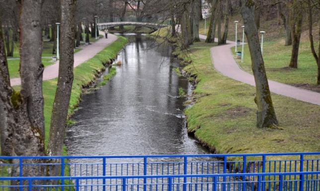 Interpelacja Anny Ruszewskiej ws. ujednolicenia zasad pielęgnacji i wycinki traw i drzew