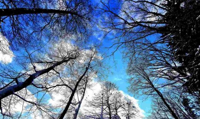 Rowerem przez Wigierski Park Narodowy – zaproszenie na wyjątkową wyprawę