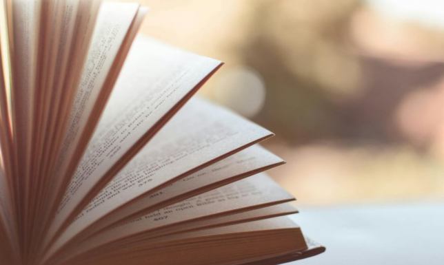 Joanna Chyłka i Harry Hole – dwie twarze współczesnego kryminału, które warto poznać