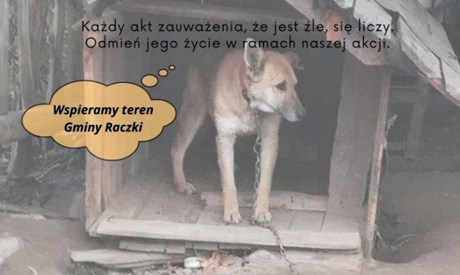 Zgłoś psa w potrzebie - otrzyma ciepłą budę Projekt sfinansowany jest ze środków Fundacji im. Stefana Batorego