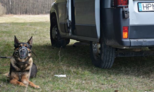 38-letni mężczyzna ukradł alkohol ze sklepu w Suwałkach 