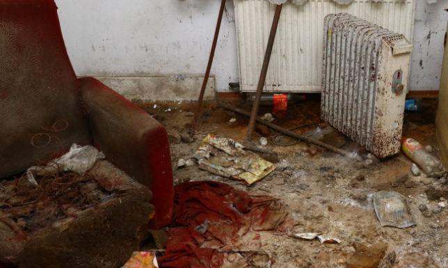 Zaniedbanie zwierząt to też przemoc