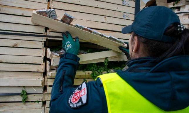 Kontrabanda była ukryta w gruzińskiej ciężarówce z natką pietruszki