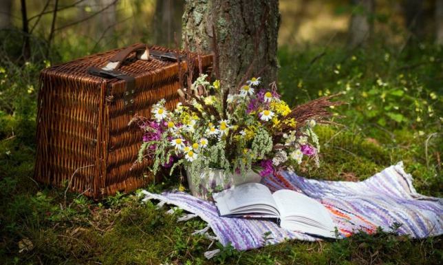 Biblioteka Publiczna im. Marii Konopnickiej w Suwałkach zaprasza na Piknik na Klonowej