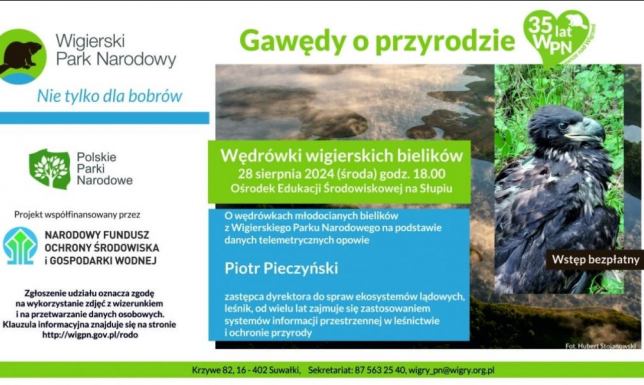 "Wędrówki wigierskich bielików" w Wigierskim Parku Narodowym