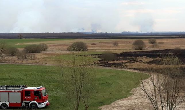 Płonął Biebrzański Park Narodowy