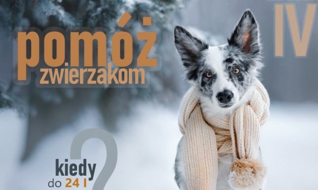 W patio Uczelni można zostawiać m.in. karmę, koce, obroże