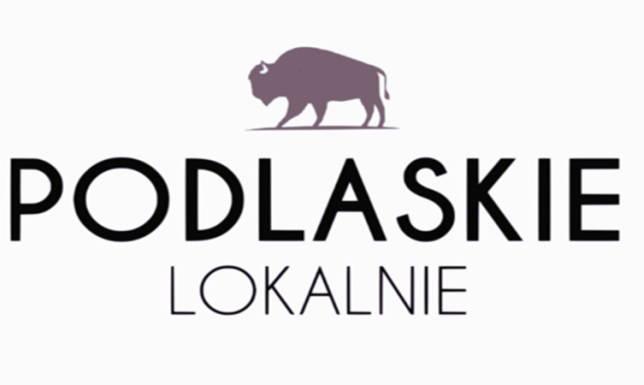 240 tys. na inicjatywy lokalne i rozwój młodych organizacji