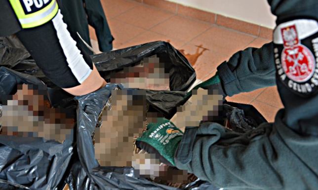 70 000 sztuk papierosów bez polskich znaków skarbowych akcyzy