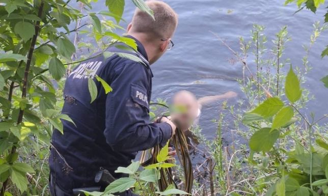 Mężczyzna biegał nago wzdłuż Kanału Augustowskiego Mieszkaniec Augustowa na widok radiowozu wskoczył do akwenu