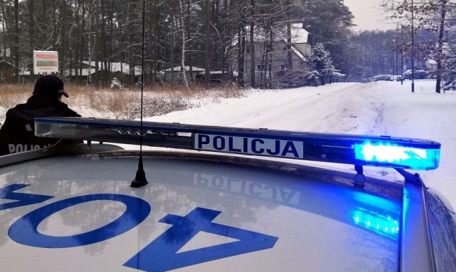 Samochód uderzył w drzewo na trasie Żyliny - Przebród