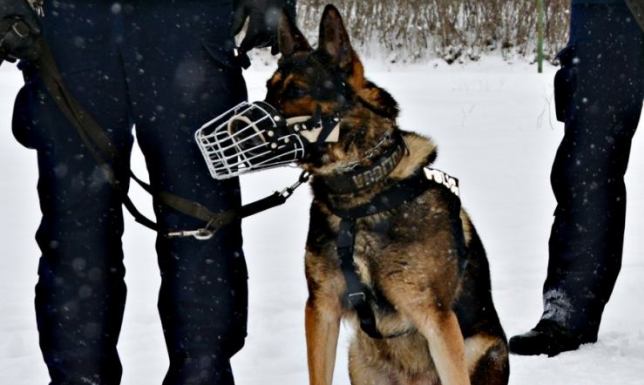 Suwalscy policjanci odnaleźli 6–latka, który bez wiedzy rodziców wyszedł z domu