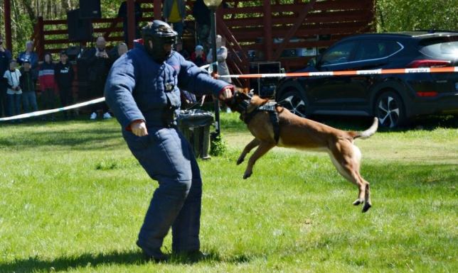 Piknik rodzinny w Wigrach piknik rodzinny, zorganizowany w ogrodach Pokamedulskiego Klasztoru