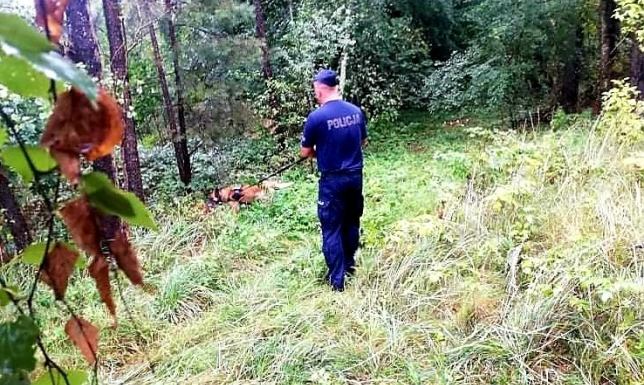 76-latka i 87-latek zgubili się na grzybach Policjanci apelują o rozsądek i ostrożność w trakcie pobytu w lesie