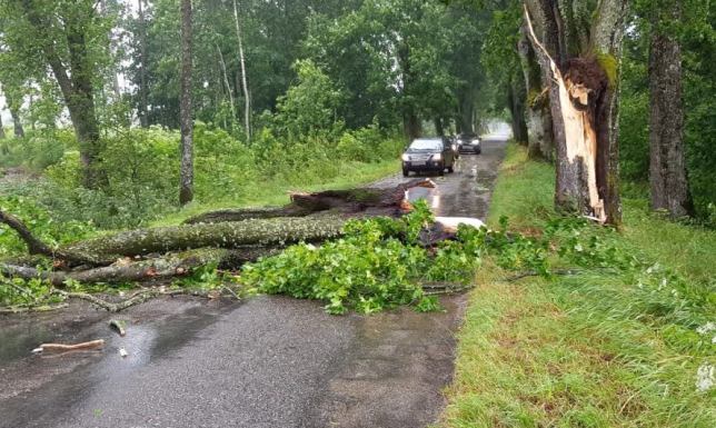 zdarzenia spowodowane porywami silnego wiatru i opadami deszczu