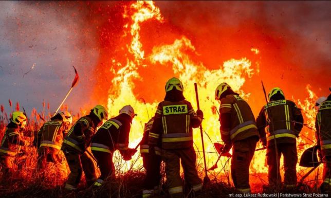 Około 89 hektarów traw i trzcin spłonęło w niedzielnym (30.03) pożarze