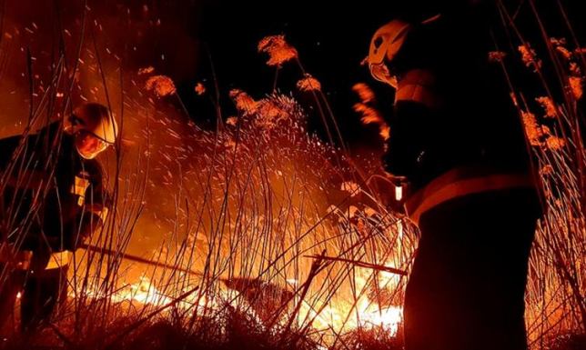 Spłonęło 25 hektarów suchej trawy