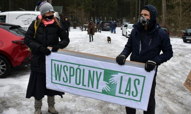 Wspólny las - spacer ekologiczny