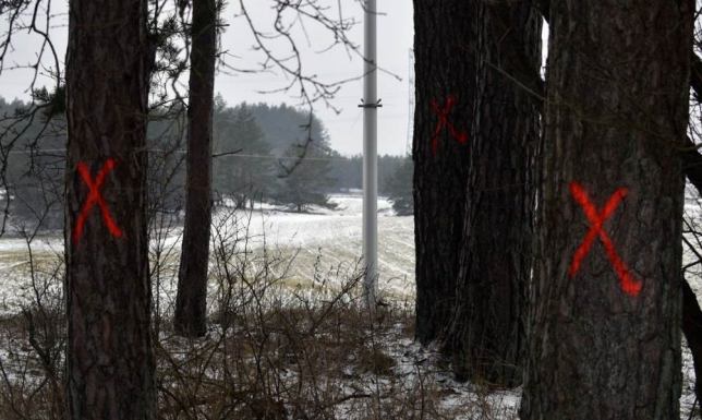 Interpelacja w celu zapewnienia maksymalnej ochrony lasu Szwajcarskiego