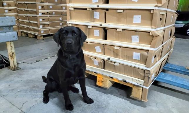 Kontrabanda warta 1,5 mln zł była ukryta w ciężarówce